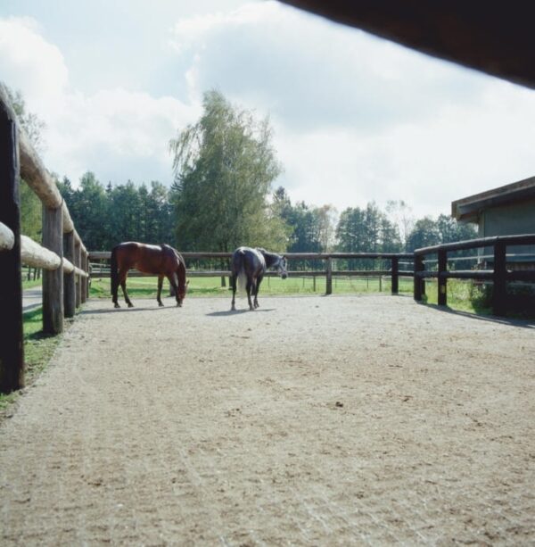 ECORASTER® TP40 - Image 9