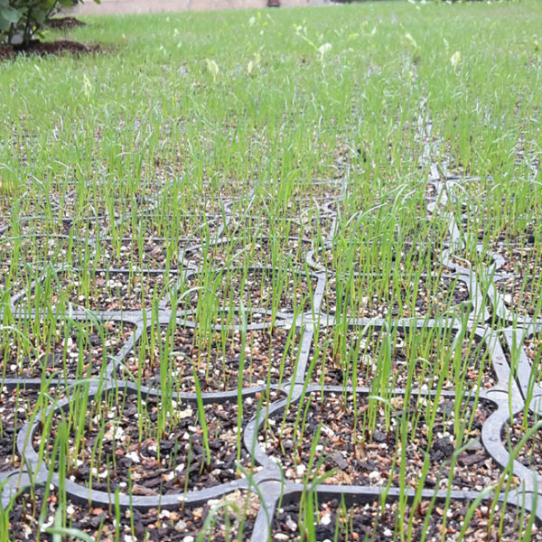 ECORASTER® E30 - zelená - Image 5