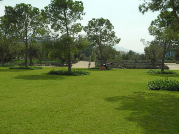 ECORASTER® S50 - zelená - Image 3