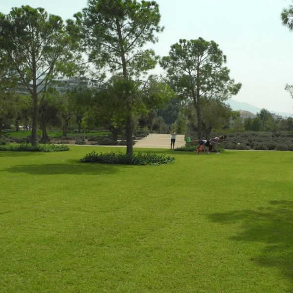 ECORASTER® S50 - čierna - Image 3