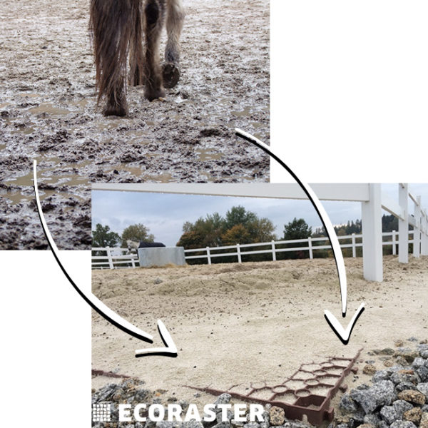 ECORASTER® TS50 - Image 12