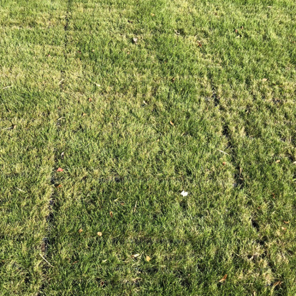 ECORASTER® E50 - čierna - Obrázek 6